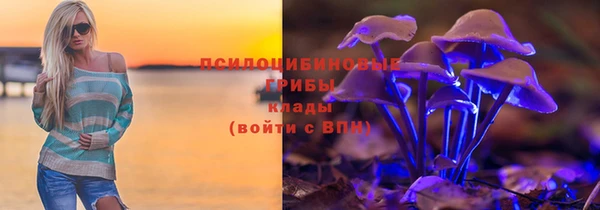 экстази Богородицк